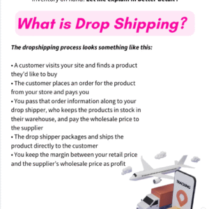 Dropshipping Business – How to Start a Dropshipping Venture – PLR eBook